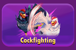 CockFighting