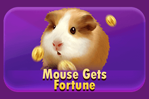 Mouse Gets Fortune